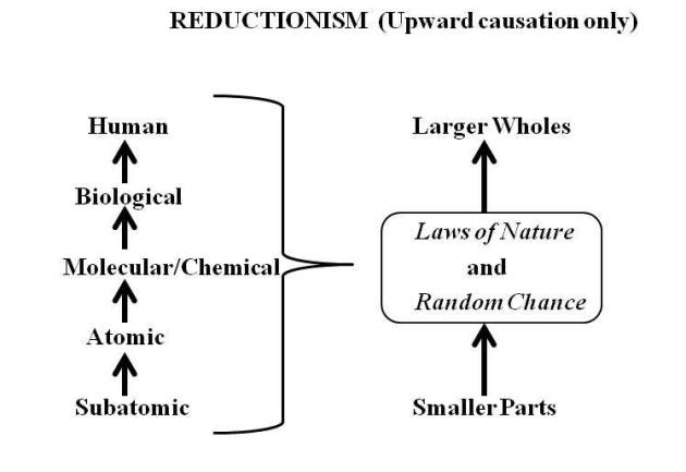 reductionism