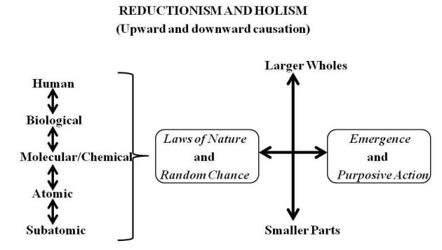 reductionism_and_holism